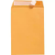 Picture of CUMBERLAND C3 ENVELOPES POCKET PLAINFACE STRIP SEAL 100GSM 458 X 324MM GOLD BOX 250