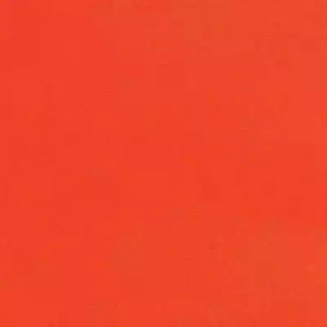 Picture of COLOURFUL DAYS COLOURBOARD 160GSM A4 SCARLET PACK 100