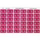 Picture of AVERY 43314 LATERAL FILE LABEL SIDE TAB COLOUR CODE N 25 X 38MM MAGENTA PACK 180