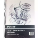 Picture of PROTEXT VISUAL ART DIARY WITH PP COVER 110GSM 120 PAGE 356 X 280MM