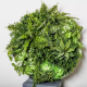 Picture of PLANT IMAGE VERTICAL WALL GARDEN ROUND LARGE