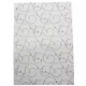 Picture of CUMBERLAND 8128 PAPER TRANSLUCENT VINES DESIGN A4 SILVER/WHITE PACK 10