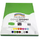 Picture of RAINBOW COVER PAPER 125GSM A3 LIGHT GREEN PACK 100