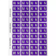Picture of AVERY 44514 LATERAL FILE LABEL SIDE TAB COLOUR CODE N 25 X 42MM PURPLE PACK 240