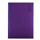 Picture of DEBDEN SILHOUETTE S4100.P55 DIARY DAY TO PAGE A4 PURPLE